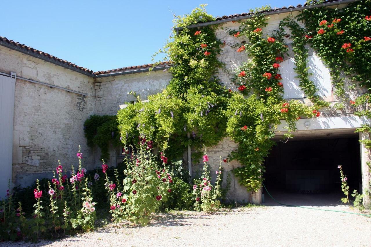 La Ferme Fortin Gensac-la-Pallue ภายนอก รูปภาพ